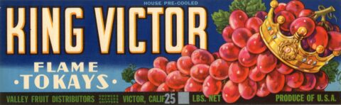 King Victor
